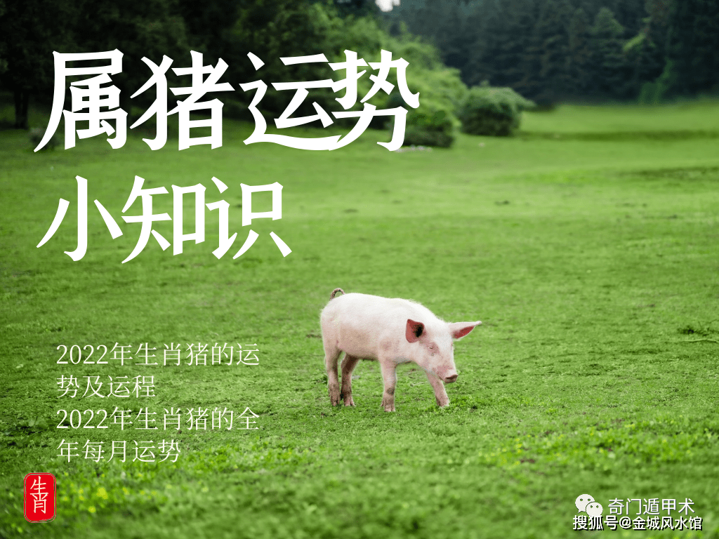 亥猪运势_申猴亥猪是什么意思_亥猪2017年运势