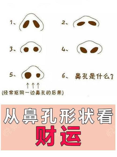 脸型分类图 各种脸型分类_杨幂的脸型叫什么脸型_脸型算命
