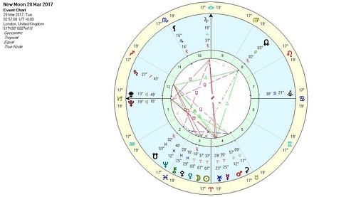 2015年12星座占星运势_氧气占星2019年摩羯座星座运势_星座占星师