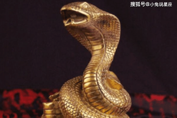 巳蛇运势(蛇巳蛇)-星座123