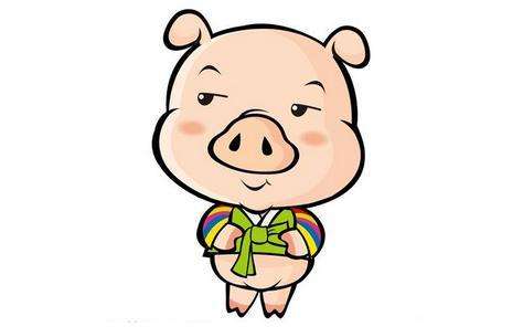 易经对巳亥猪年的解释_亥猪是什么意思_亥猪运势