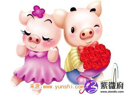 亥猪是什么意思_site12ky.com 巳蛇亥猪_亥猪运势