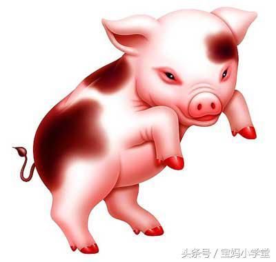亥猪运势_site12ky.com 巳蛇亥猪_易经对巳亥猪年的解释
