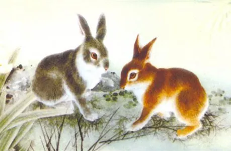 12生肖农曆几月出生命最好——生肖兔