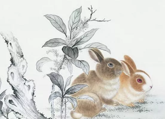 12生肖农曆几月出生命最好——生肖兔
